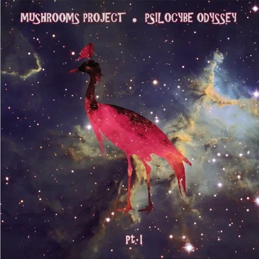 Psilocybe Odyssey, Part I by Mushrooms Project - album cover