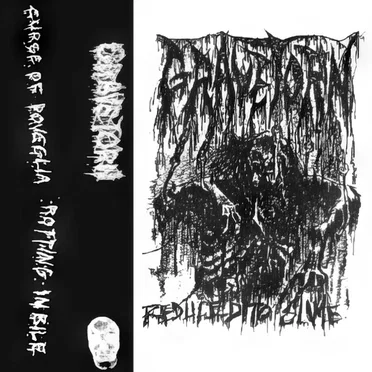 Reduced to Slime by Gravetorn - album cover