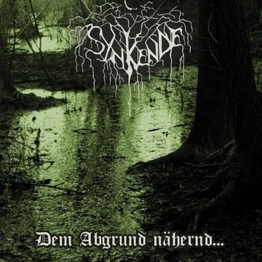 Dem Abgrund nähernd by Synkende - album cover
