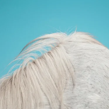 All Yours by Widowspeak - album cover
