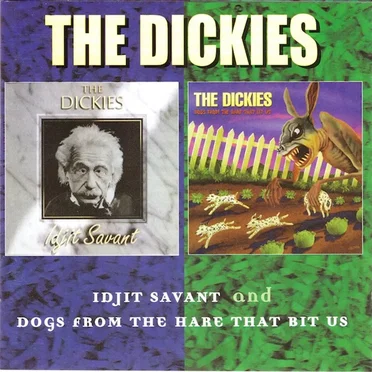 Idjit Savant / Dogs From the Hare That Bit Us