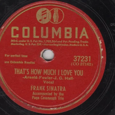 That's How Much I Love You / I Got a Gal I Love