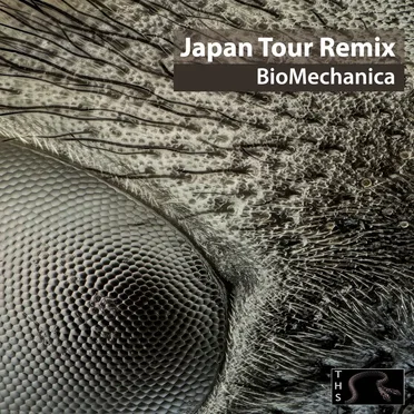 BioMechanica