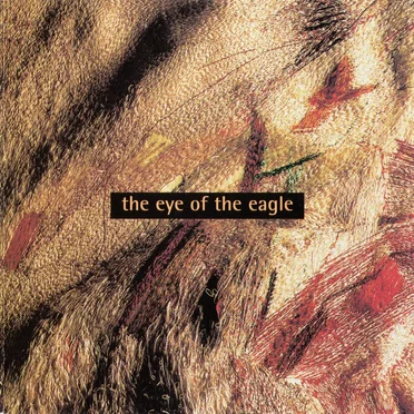The Eye of the Eagle