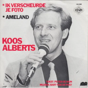 Ik verscheurde je foto / Ameland