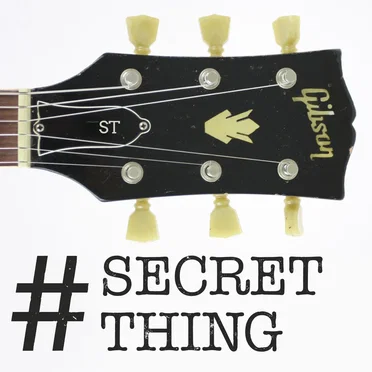#SECRETTHING! by Various Artists - album cover