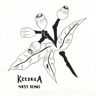 4059 by Keeskea - album cover