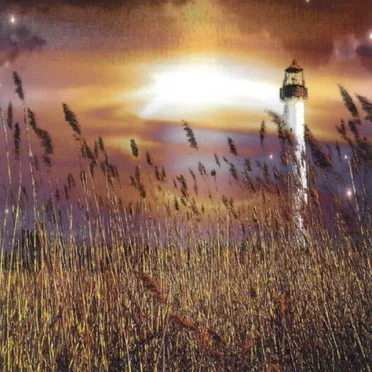 Musiques de nuit, Volume 2 by Various Artists - album cover
