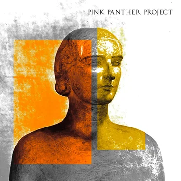 Intoxicating Embrace by Pink Panther Project - album cover