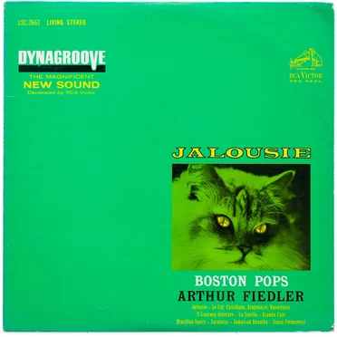 “Jalousie” and Other Favorites in the Latin Flavor