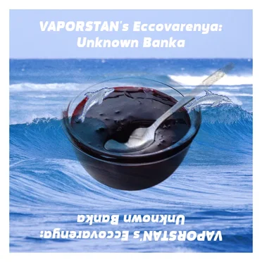 VAPORSTAN's Eccovarenya: Unknown Banka by Various Artists - album cover