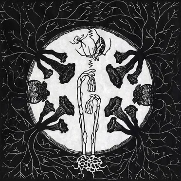 Tarantism by Magic Tuber Stringband - album cover
