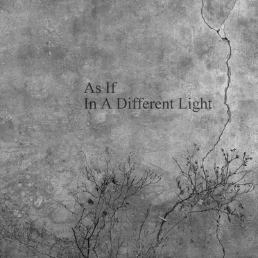 In a Different Light