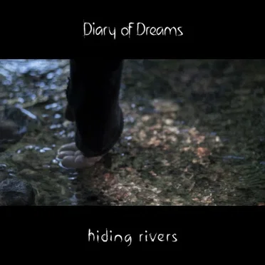 Hiding Rivers by Diary of Dreams - album cover