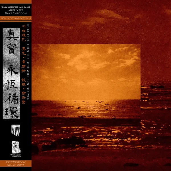 To Be True, Then the Loop Will Run Forever