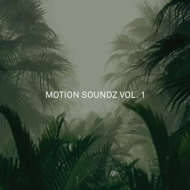 Motion Soundz Vol. 1 by Vinil Motion - album cover