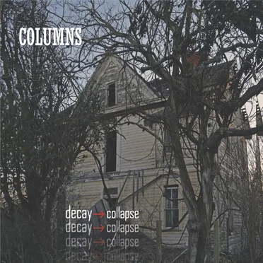 Decay Then Collapse by Columns - album cover