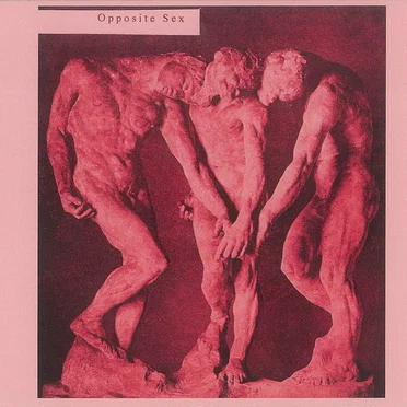 Opposite Sex