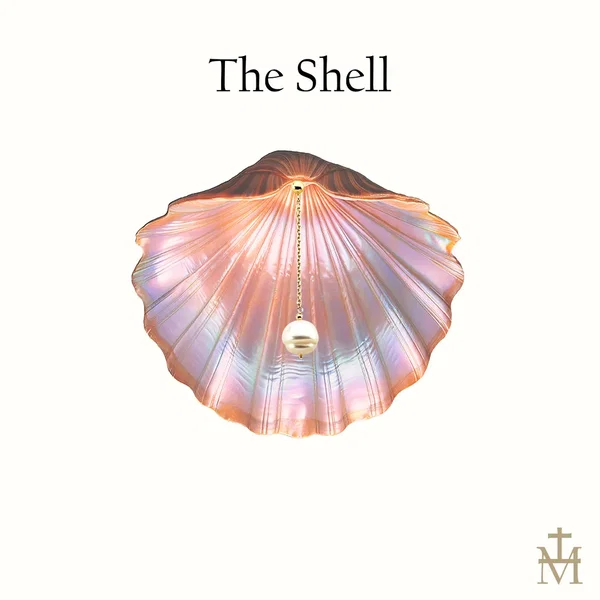 The Shell