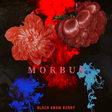 MORBUS by BLACK GROW BERRY - album cover