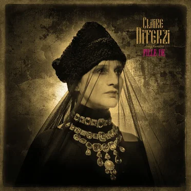 Fille de by Claire Diterzi - album cover