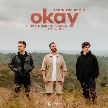 Okay (Afrojack remix)