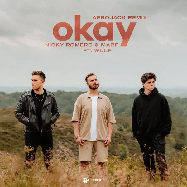 Okay (Afrojack remix)