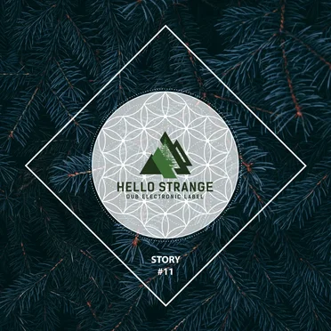 hello strange story #11 by Various Artists - album cover