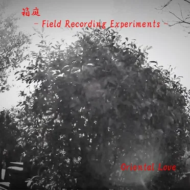 箱庭 - Field Recording Experiments