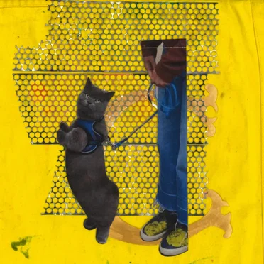 catbandcat