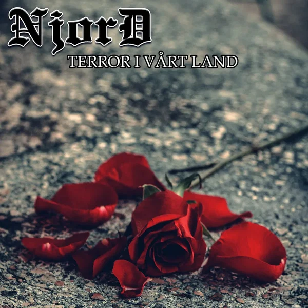 Terror i vårt land