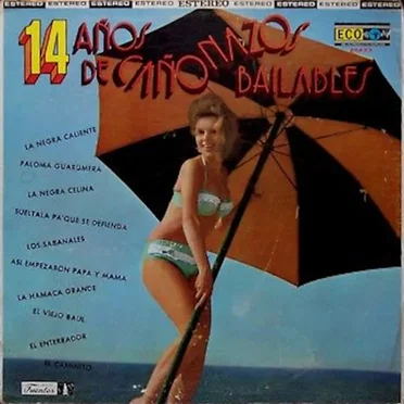 14 años de cañonazos bailables by Various Artists - album cover