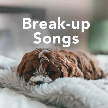 Break Up Songs by Various Artists - album cover