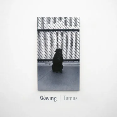Waving by Tamas - album cover