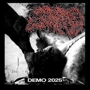 Demo 2025 by Sorewirejo - album cover