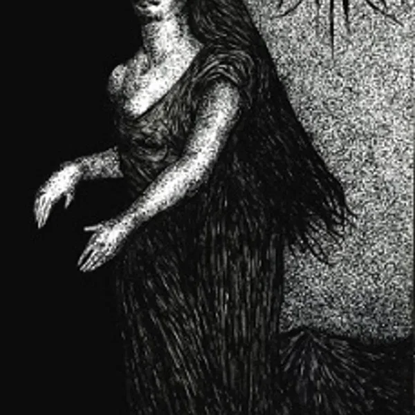 Cara Neir / Venowl