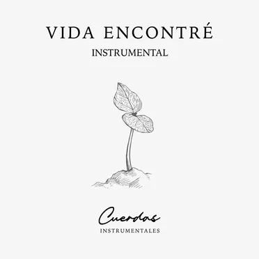 Vida Encontré Instrumental