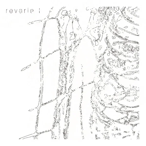 Reverie