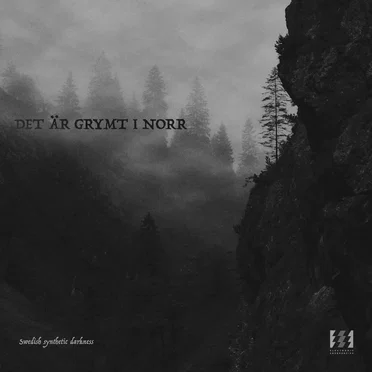 Det är grymt i norr by Various Artists - album cover