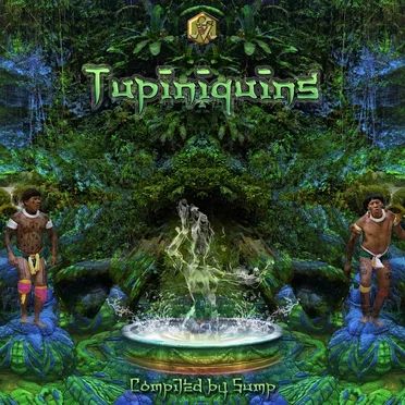 Tupiniquins by Various Artists - album cover