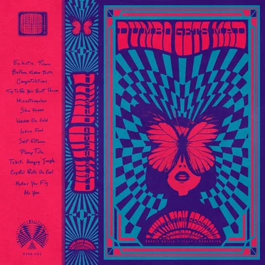 Levitation Sessions by Dumbo Gets Mad - album cover