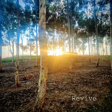 Revive by Jonah James - album cover