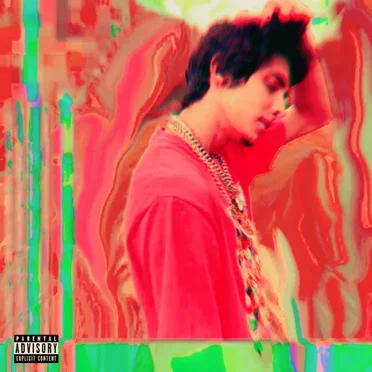 Mentally Stoned by Cam210 - album cover