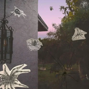 Spiders by Bedbugs - album cover