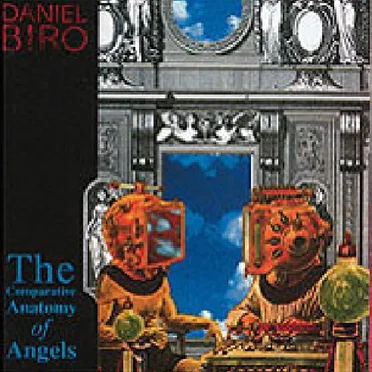 The Comparative Anatomy of Angels