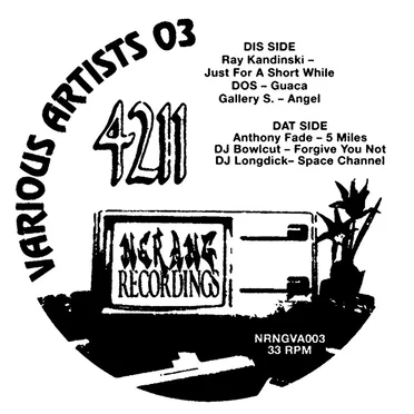 NRNGVA003 Ray Kandinski , DOS , Gallery S. , Anthony Fade , Dj Bowlcut , Dj Longdick by Various Artists - album cover
