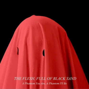 A Phantom You Are, a Phantom I'll Be