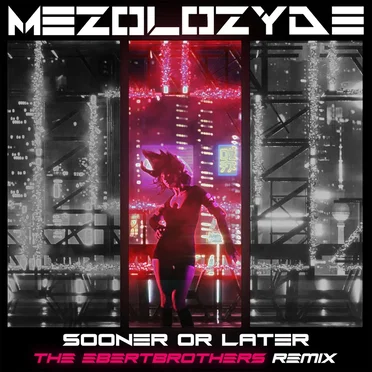Sooner or Later (The Ebertbrothers remix)