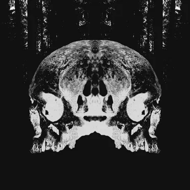 Infertile Minds by VVOV - album cover
