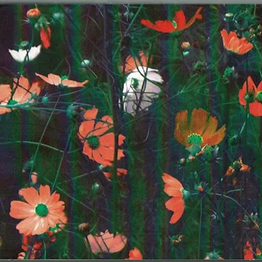 duyster.4 by Various Artists - album cover